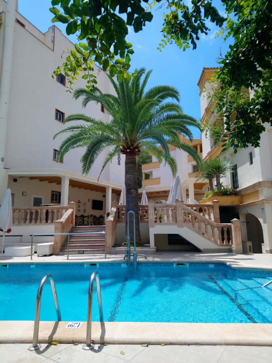 Pool FLOR los Almendros Hotel