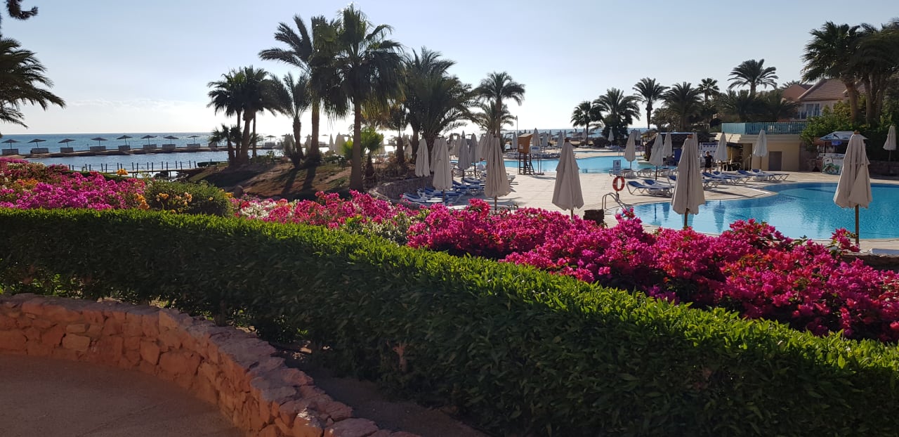 Pool Mövenpick Resort & Spa El Gouna