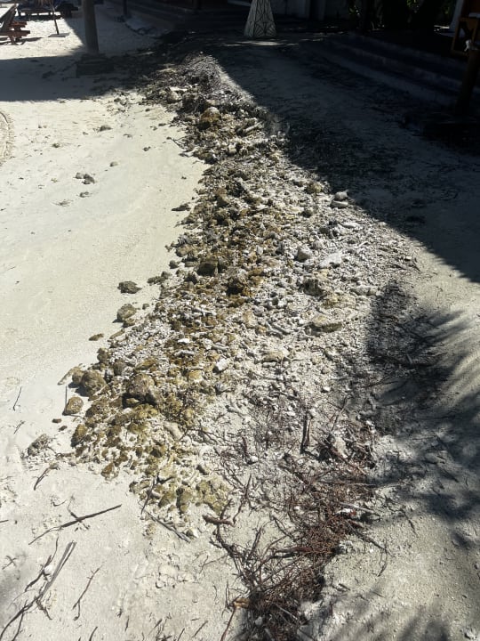 Strand Cinnamon Dhonveli Maldives