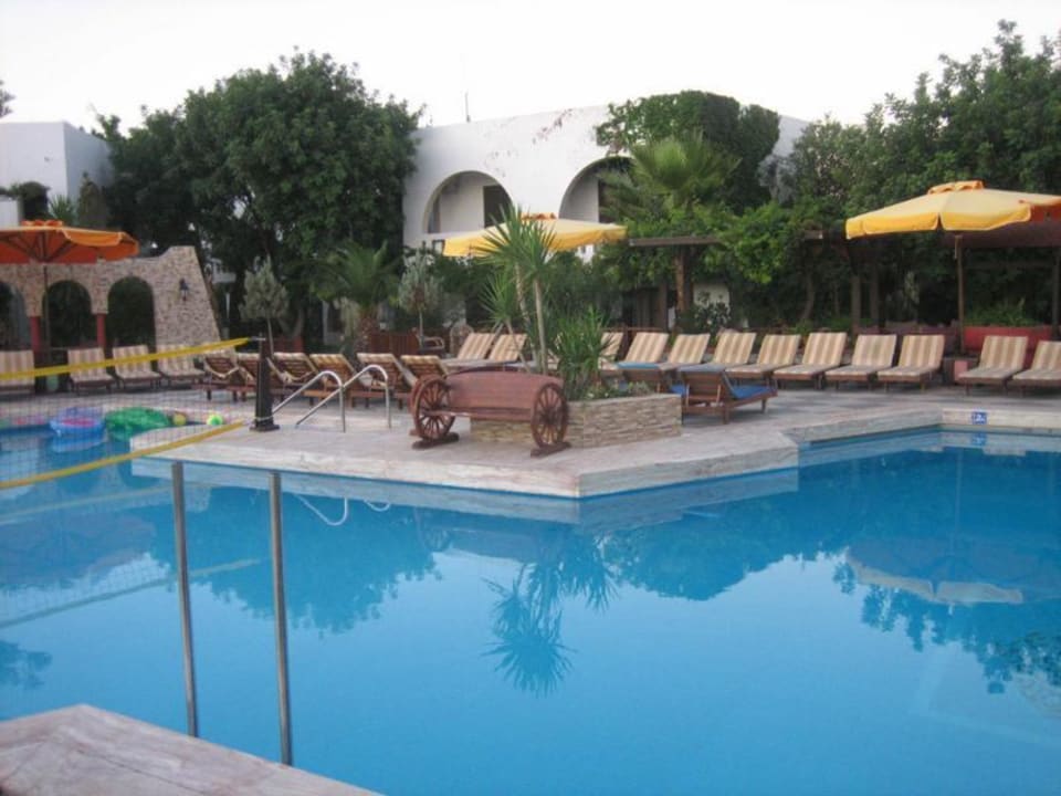 Pool am Morgen Gaia Garden Hotel