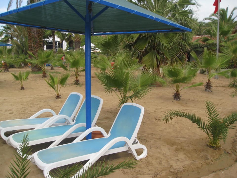 Strand Paloma Oceana