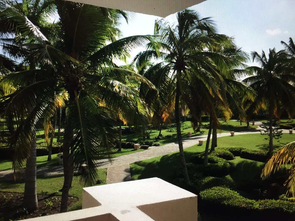 Zimmer Paradisus Rio de Oro Resort & Spa - Adults only
