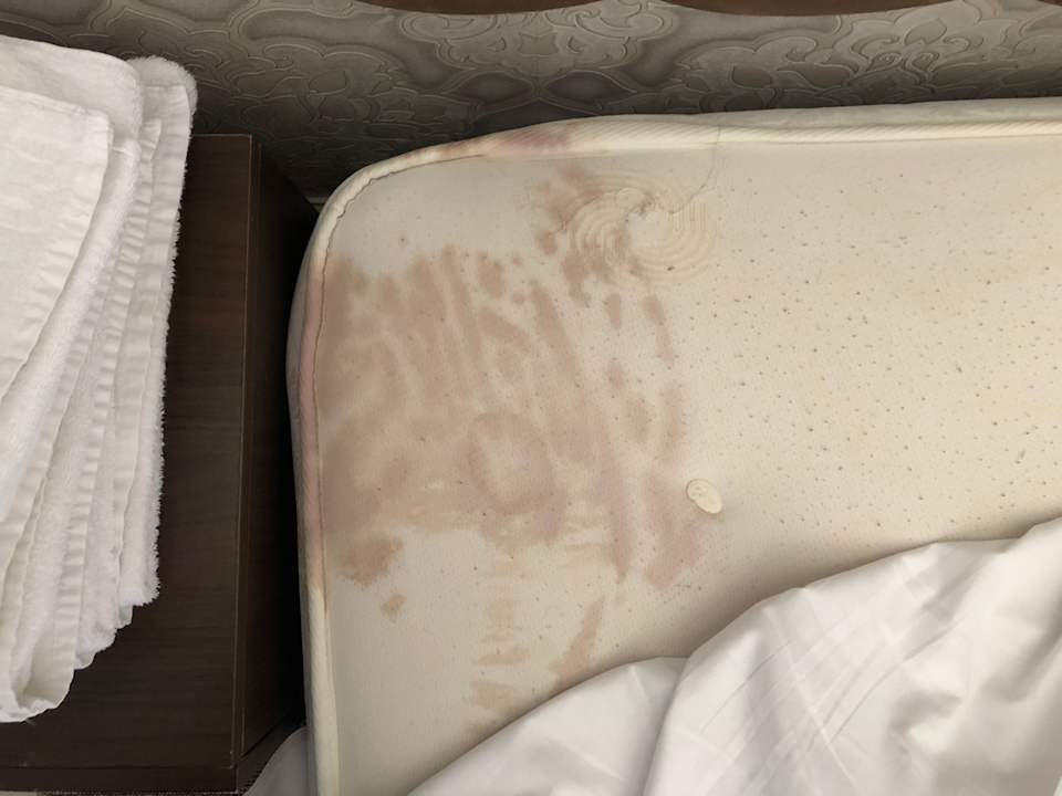 Zimmer Somerset Hotel