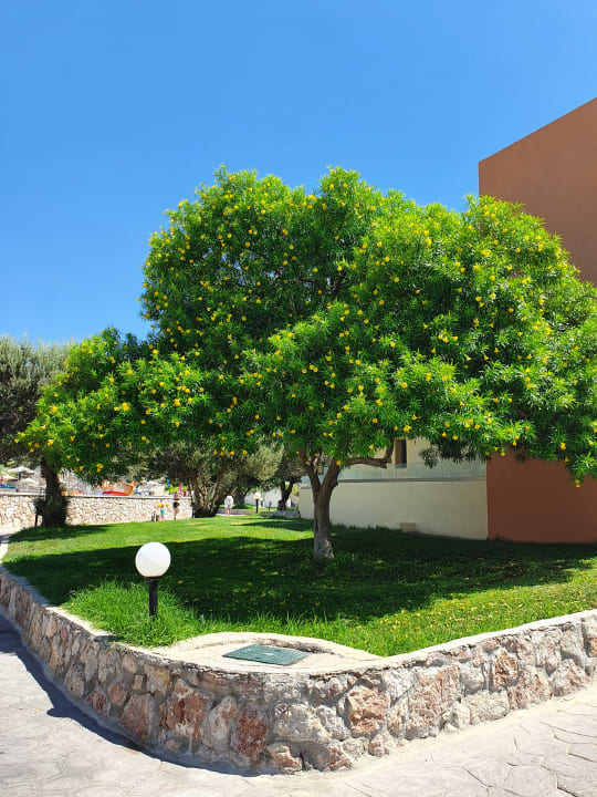 Gartenanlage Atlantica Mikri Poli Rhodes