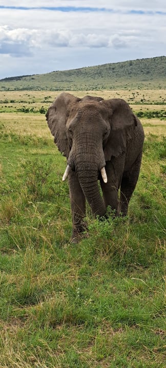 Sport & Freizeit Hotel Masai Mara Sopa Lodge