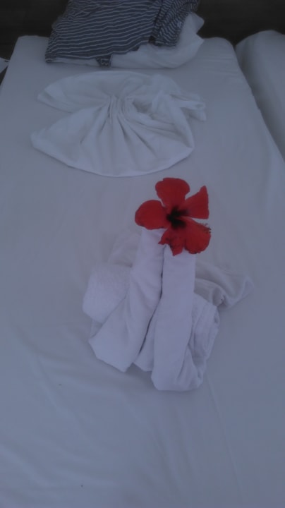 Zimmer waren sauber Summer Village of Hippokrates - Adults only