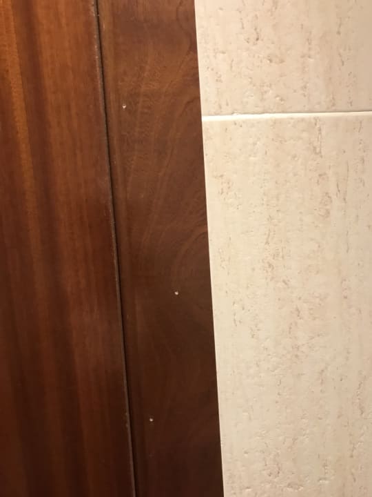 Zimmer Garbí Cala Millor