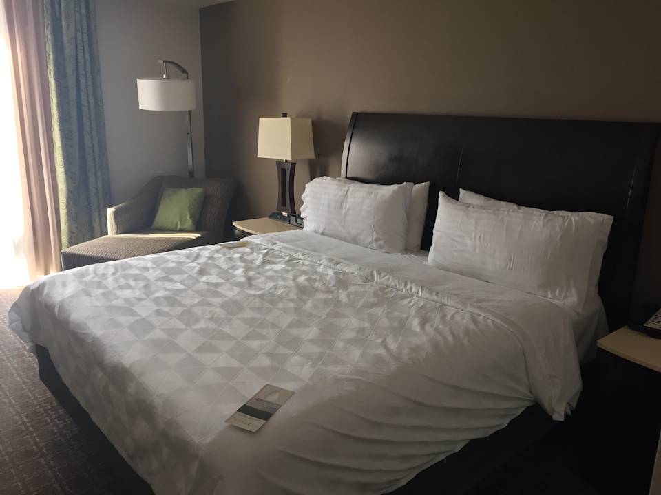 Zimmer Holiday Inn Charleston Historic Downtown