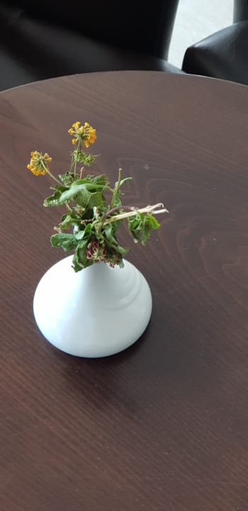 Gastro Royal Star Beach Resort