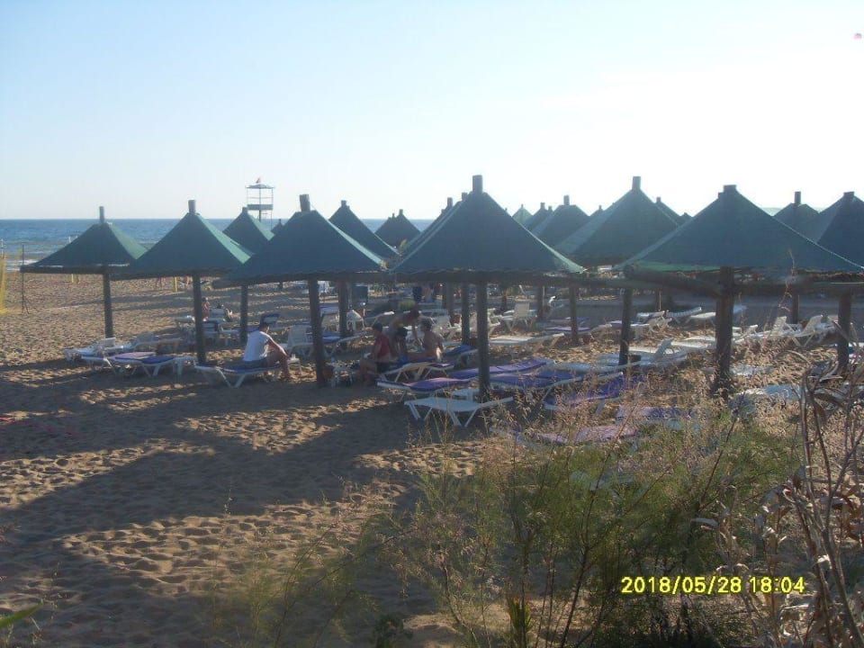 Strand VONRESORT Golden Coast