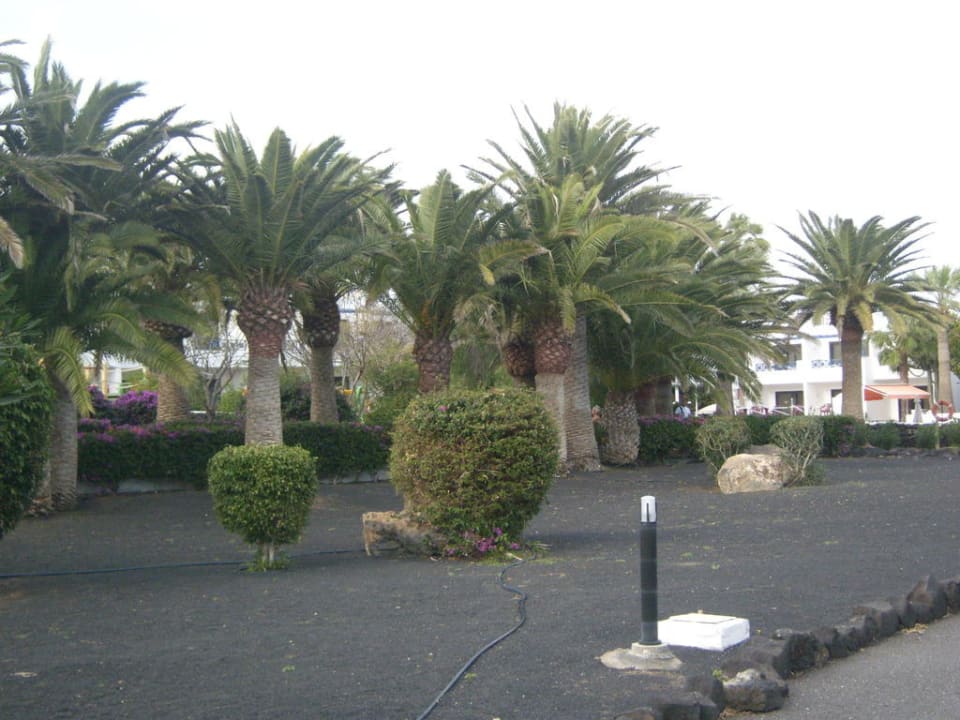 Ein Teil der Gartenanlage Relaxia Olivina