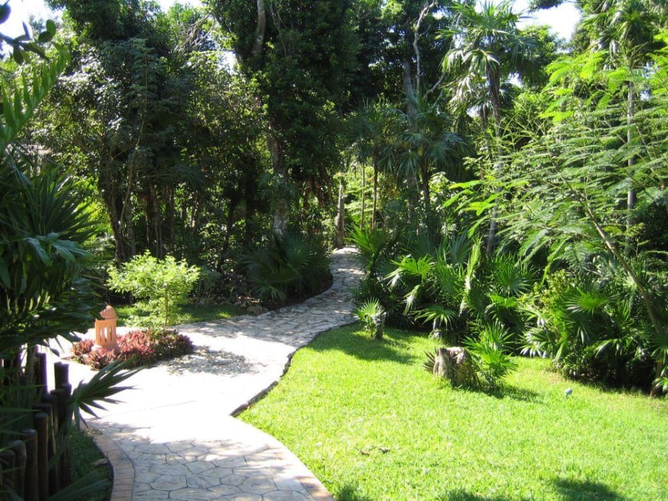 Gartenanlage Iberostar Waves Tucan