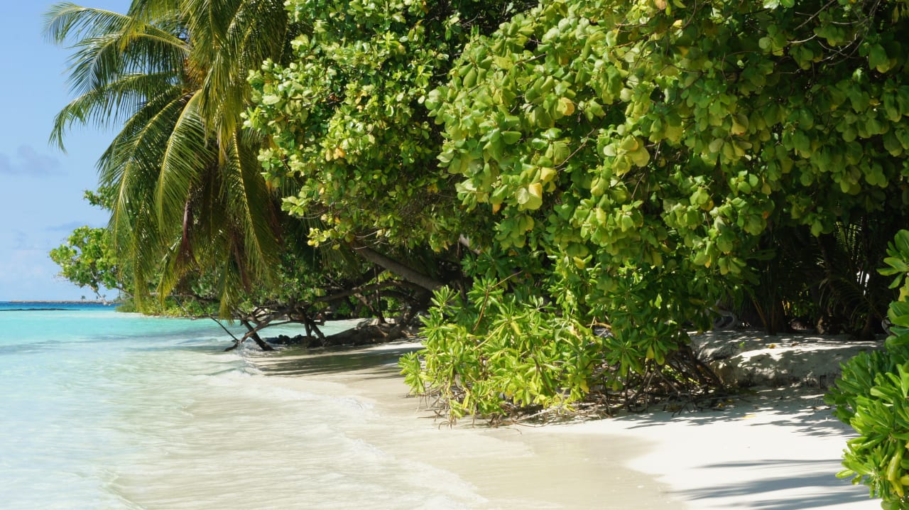 Bei Flut Kuramathi Maldives