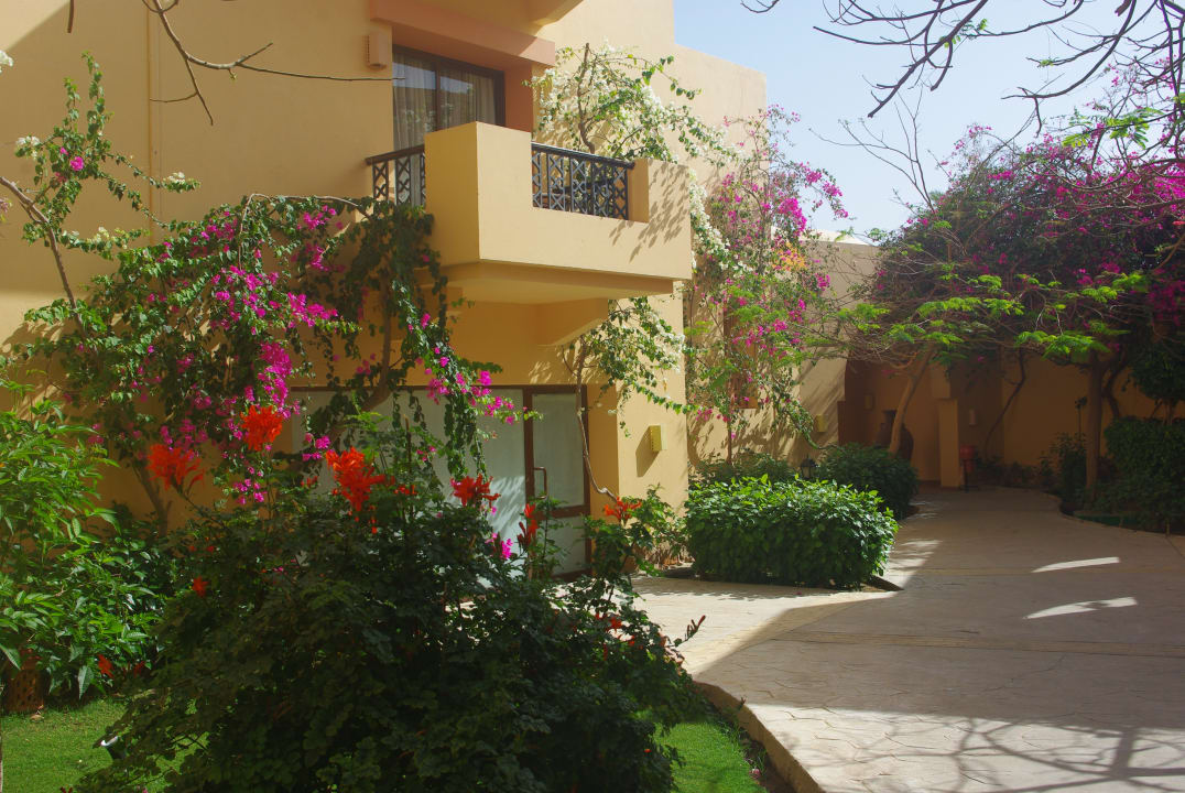 Gartenanlage Steigenberger Coraya Beach - Adults only