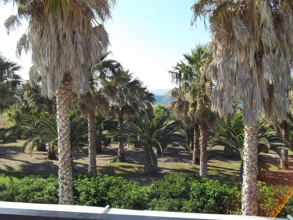 Blick vom Balkon Hotel Cavo D'oro