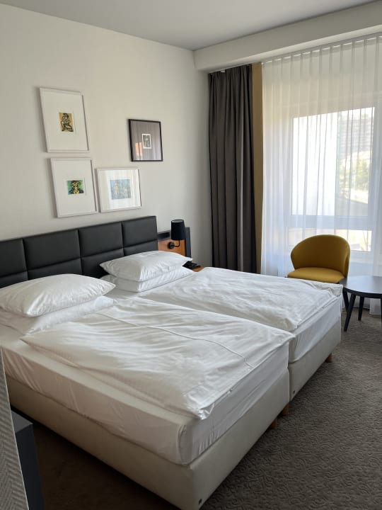 Zimmer Dorint Hotel Dresden
