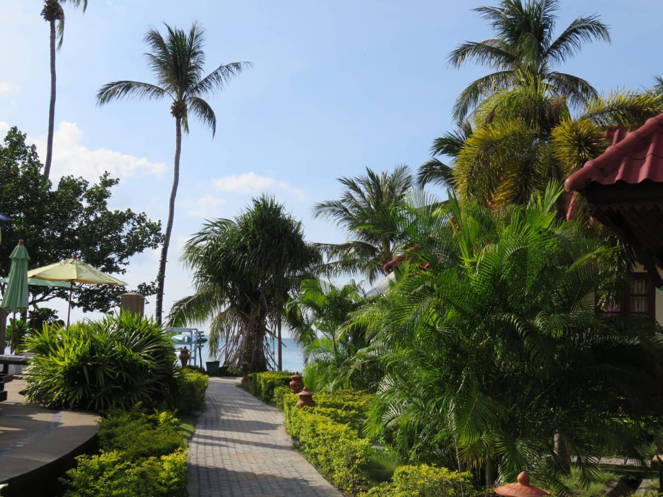 Weg zum Strand Long Bay Resort Koh Phangan