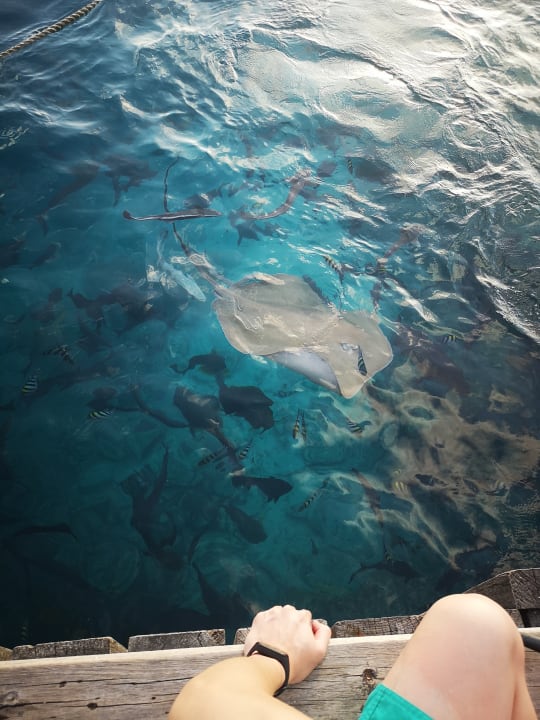 Strand Kihaa Maldives