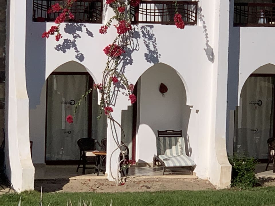 Zimmer Hotel Gorgonia Beach Resort