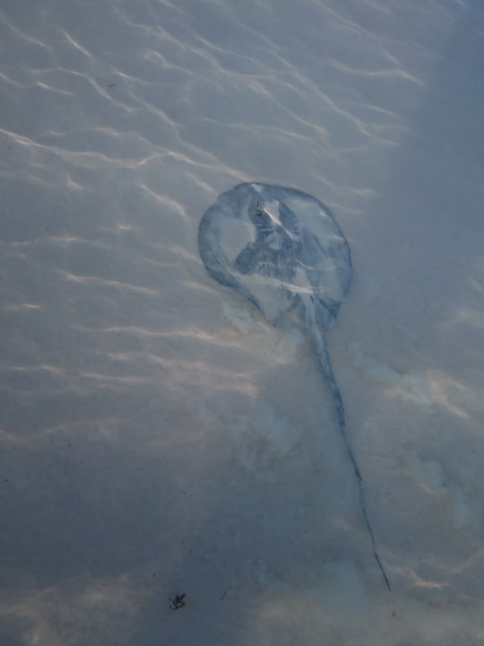 Strand Akumal Bay Beach & Wellness Resort