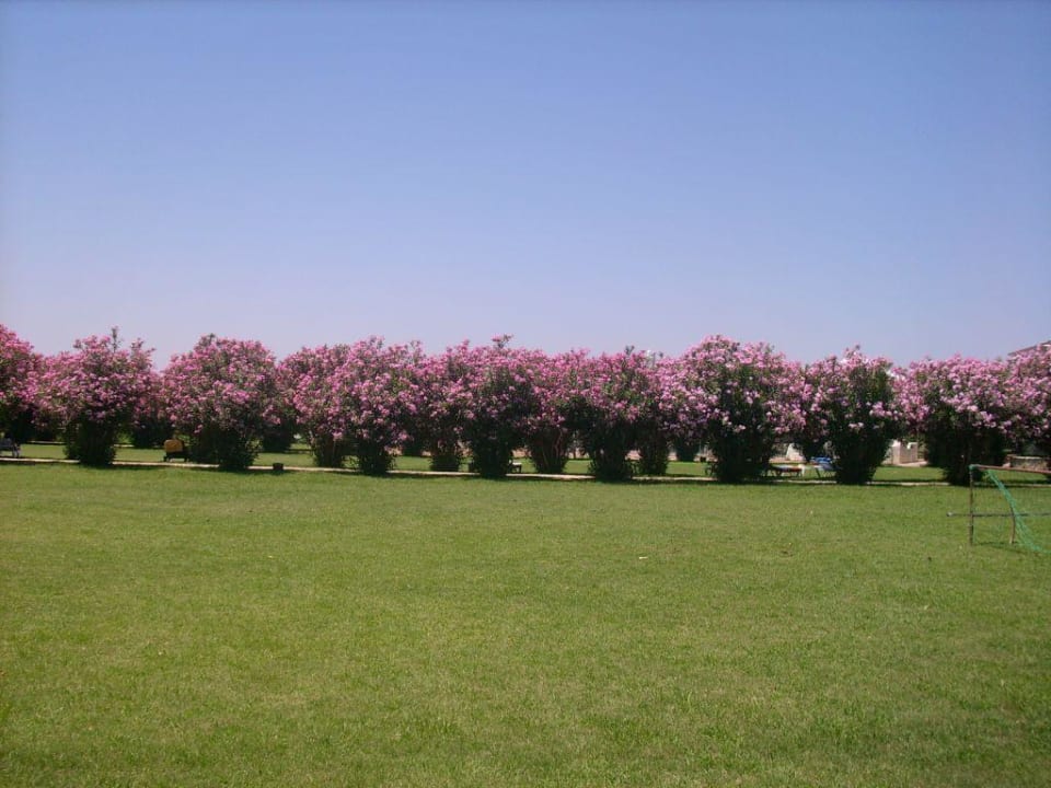 Hane Garten Calimera Hane Garden