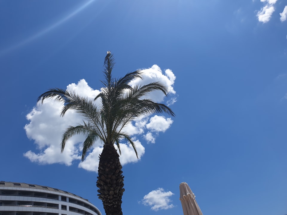 Ausblick Royal Wings Hotel