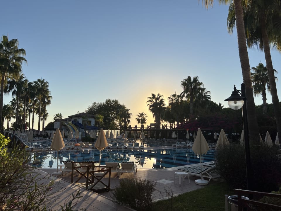 Pool Trendy Palm Beach (Adults Only, 16+)