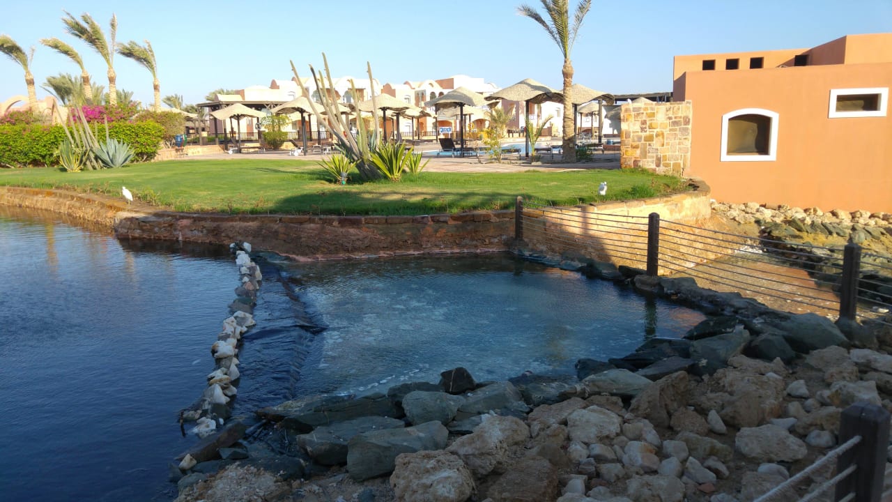 Blick zur Poolbar Radisson Blu Resort, El Quseir