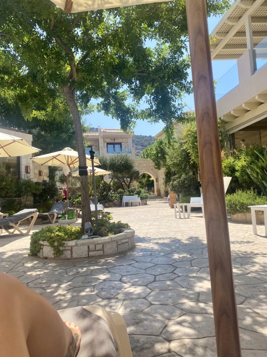 Gartenanlage Cactus Royal