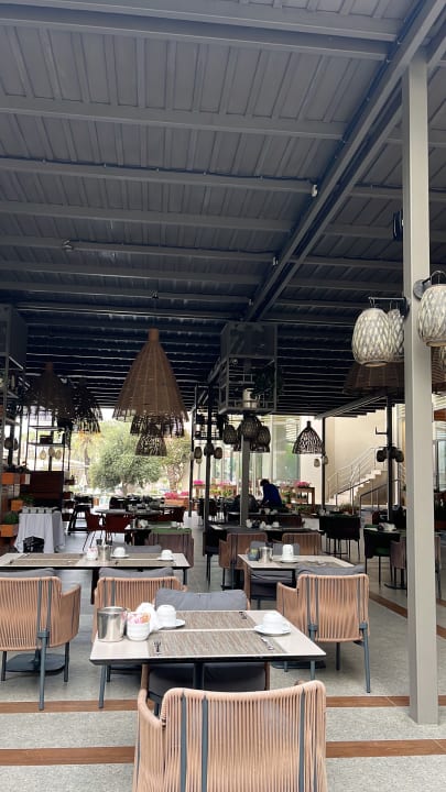 Gastro Arum Barut Collection