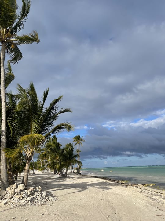 Strand Dreams Cap Cana Resort & Spa