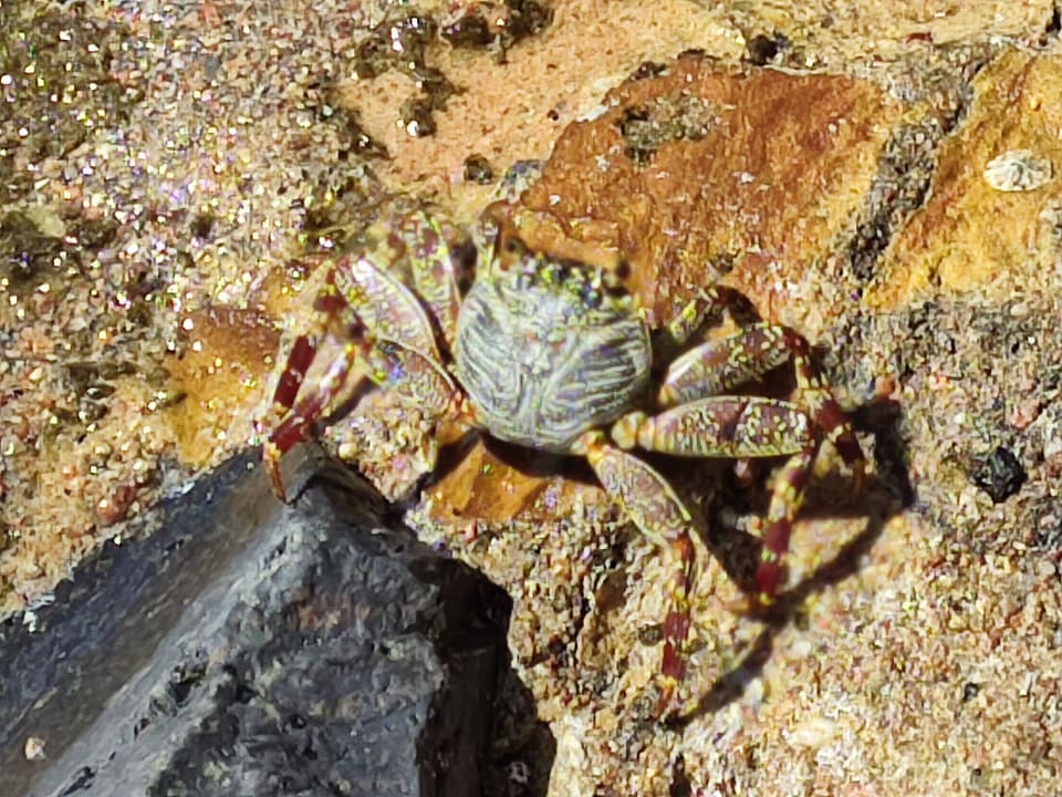 Strand Pickalbatros Aqua Park Resort - Hurghada