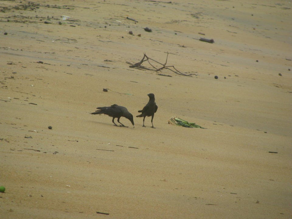 Störenfriede Mermaid Hotel & Club