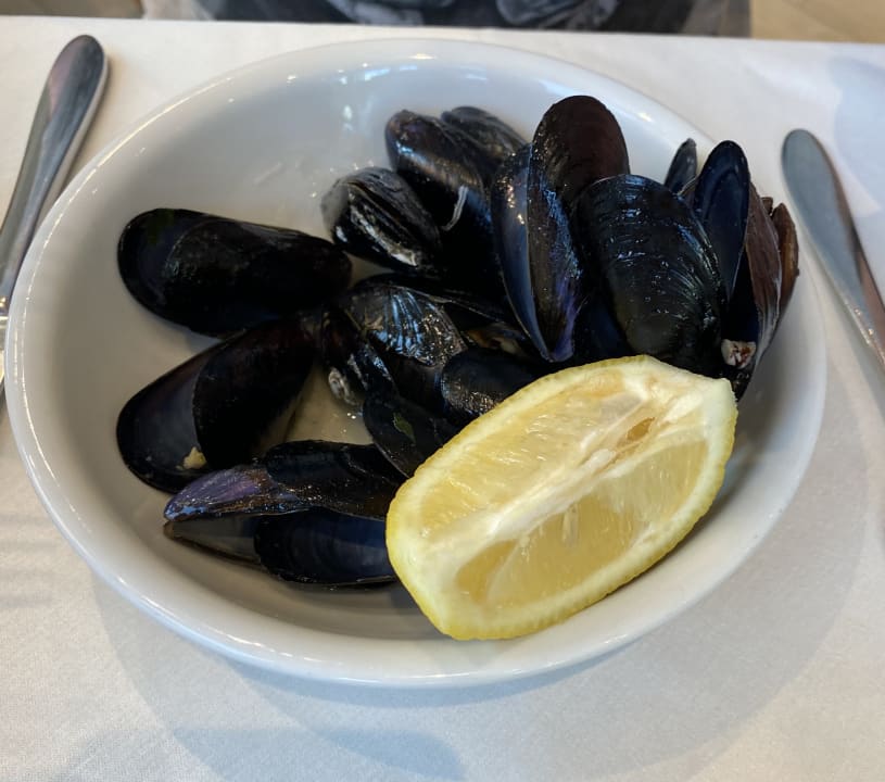 Gastro Hotel Mayer