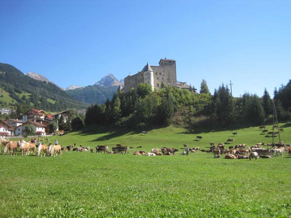 Burg Schloss Naudersberg