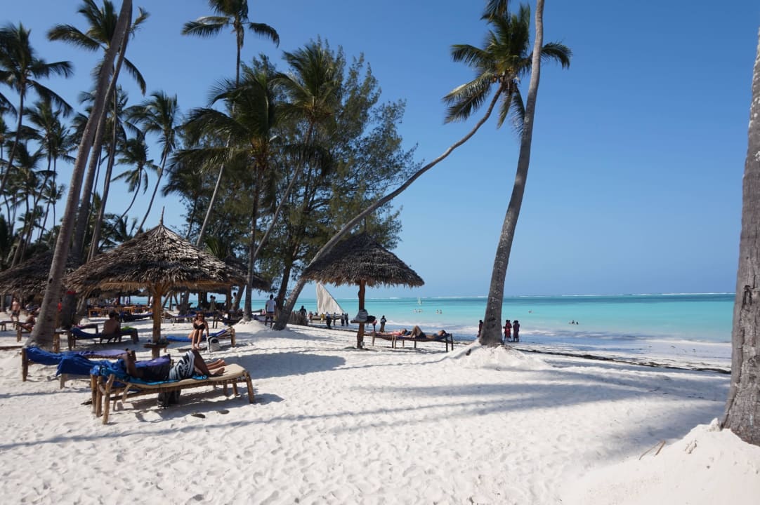 Sandstrand TUI Blue Bahari Zanzibar