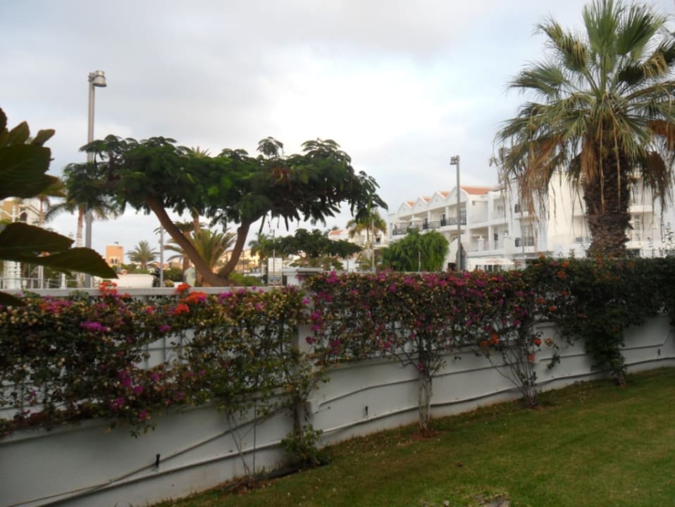 Ausblick Adrián Hoteles Colón Guanahaní - Adults only