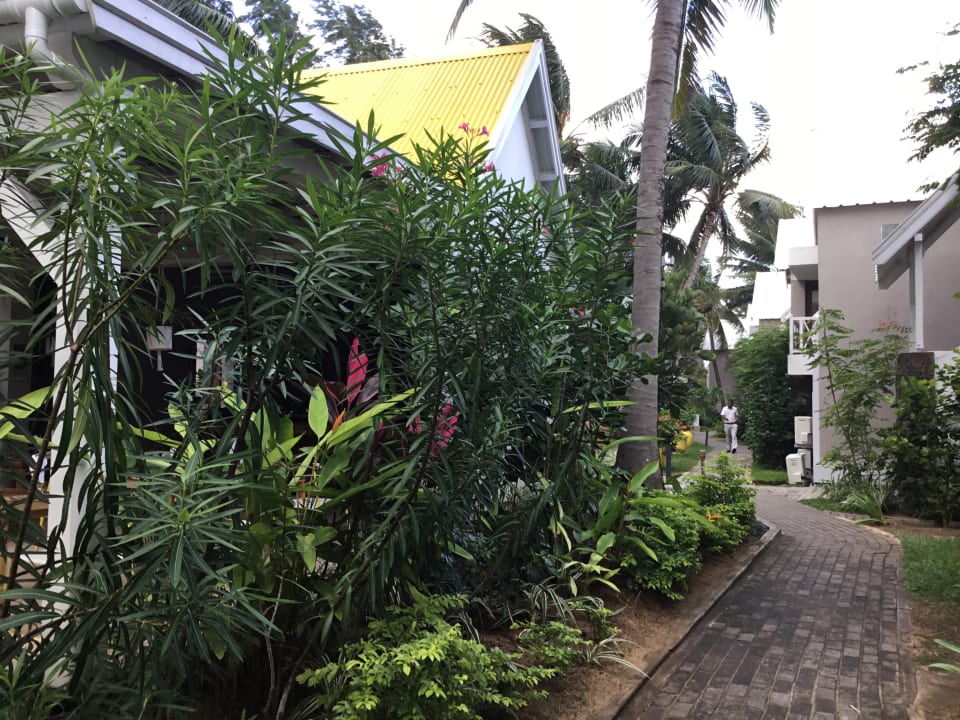 Gartenanlage Tropical Attitude - Adults only