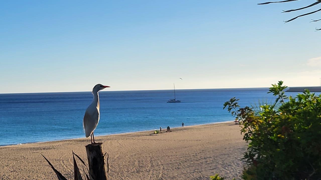 Strand Hotel Riu Palace Jandia