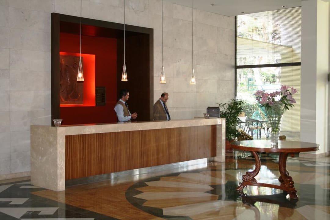 Rezeption Barut Hemera