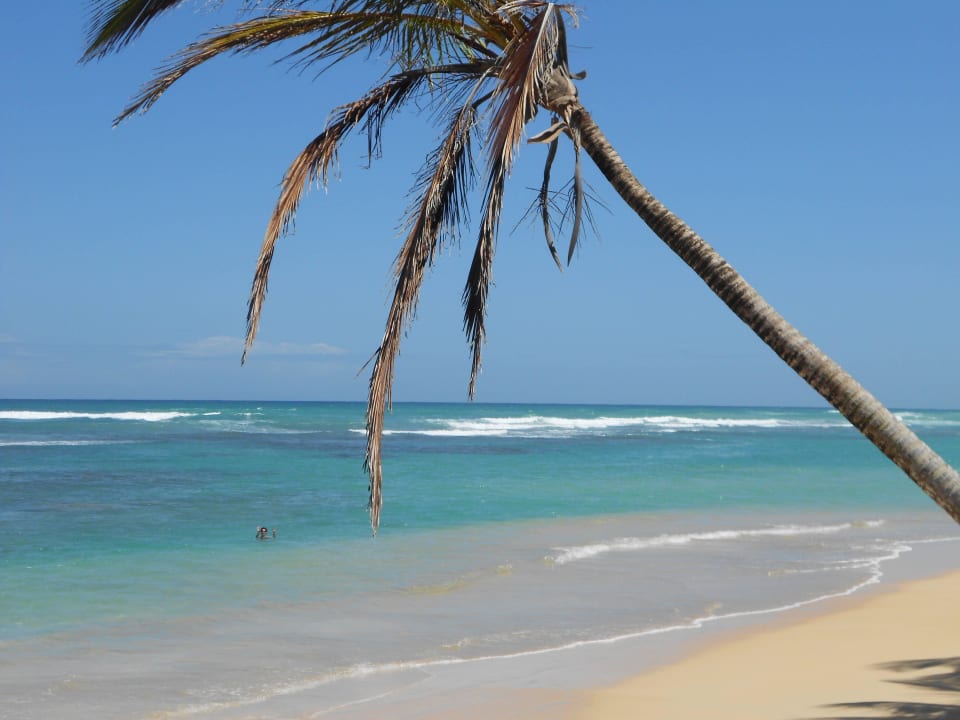 Traumhafter Strand Excellence Punta Cana - Adults only
