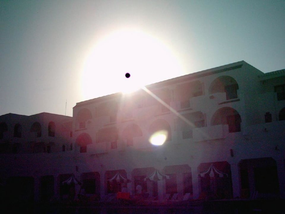 Bildersuche Hotel Sunnydays L'Albatros/Albatros