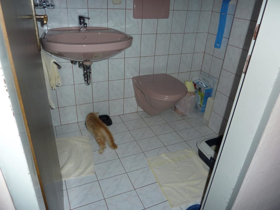 Hinter der Türe ist die Dusche. Pension Karawankenblick