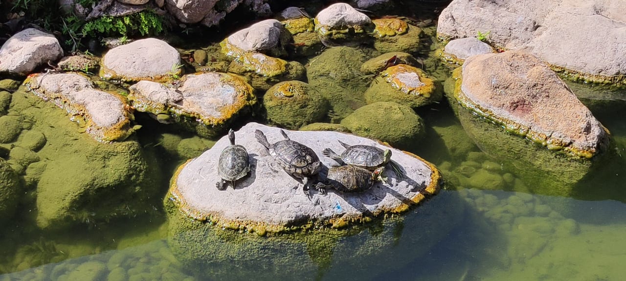 Gartenanlage Limak Limra Hotel & Resort