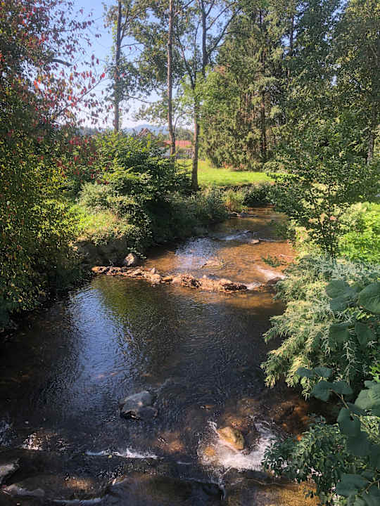 Gartenanlage Hotel Klosterbräustuben