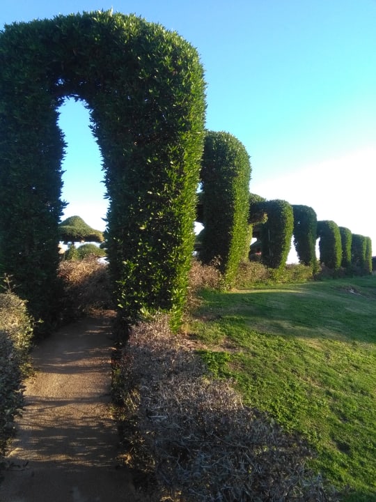 Gartenanlage Siva Sharm