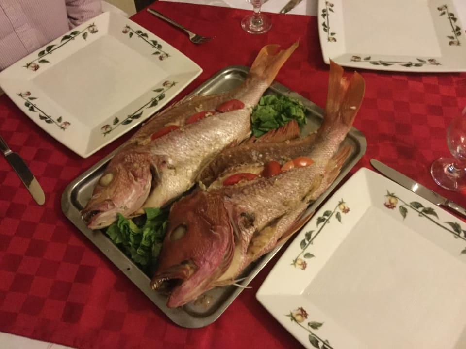 Gastro Hostal Puerto De Casilda