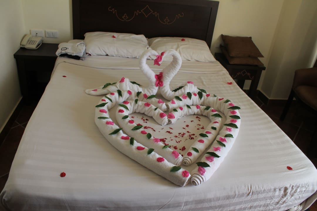 Zimmer Three Corners Sea Beach Resort