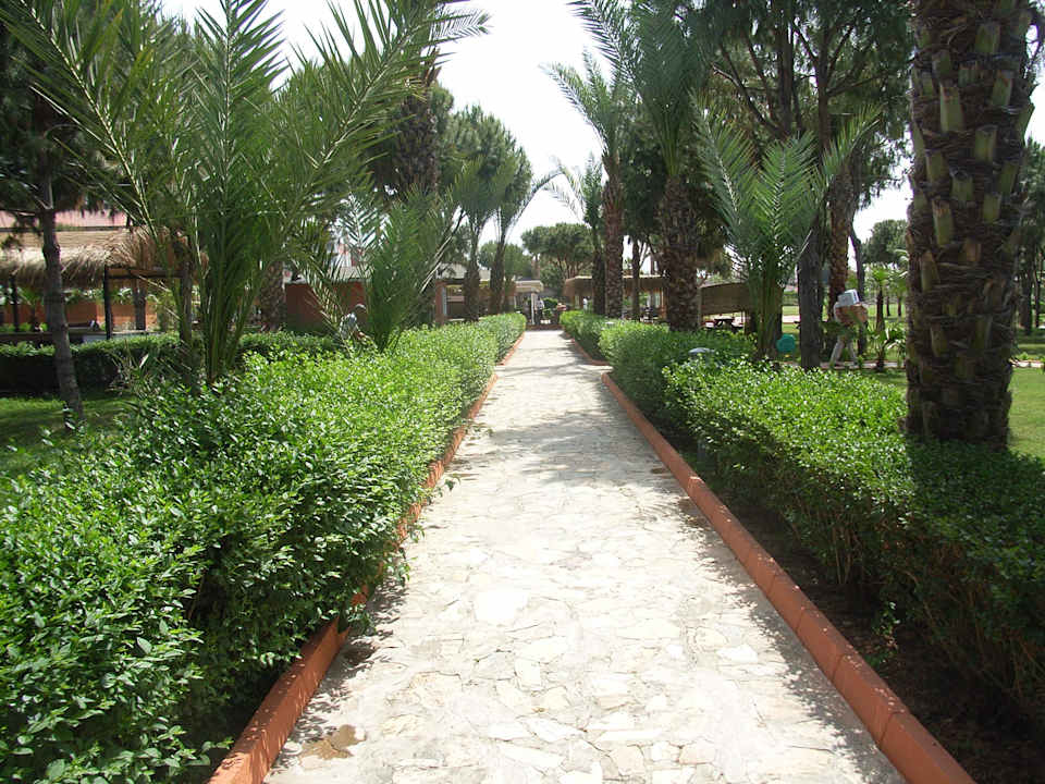 Gepflegt Club Turtas Beach Hotel