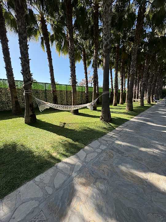 Pool Hotel Miramare Beach